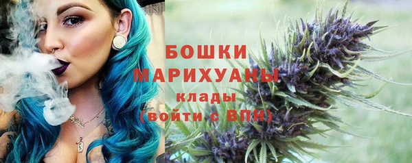 дживик Верея