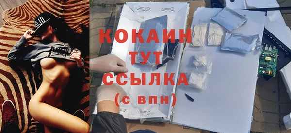 дживик Верея