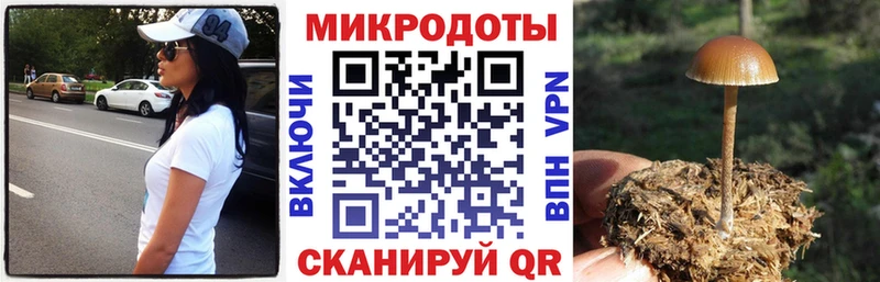ОМГ ОМГ ССЫЛКА  Дальнереченск  Псилоцибиновые грибы прущие грибы 