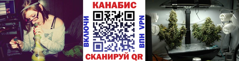 закладка  Дальнереченск  kraken ССЫЛКА  Бошки Шишки White Widow 